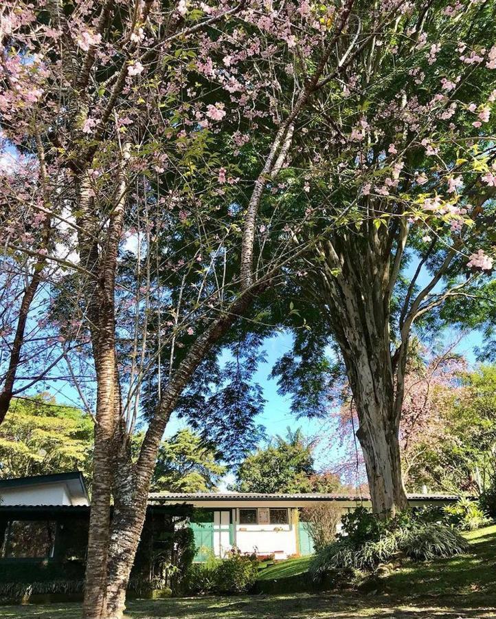 Pinheiros Do Rocio Ξενοδοχείο Πετρόπολις Εξωτερικό φωτογραφία