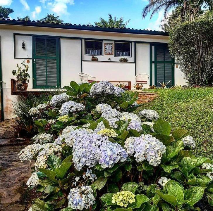 Pinheiros Do Rocio Ξενοδοχείο Πετρόπολις Εξωτερικό φωτογραφία