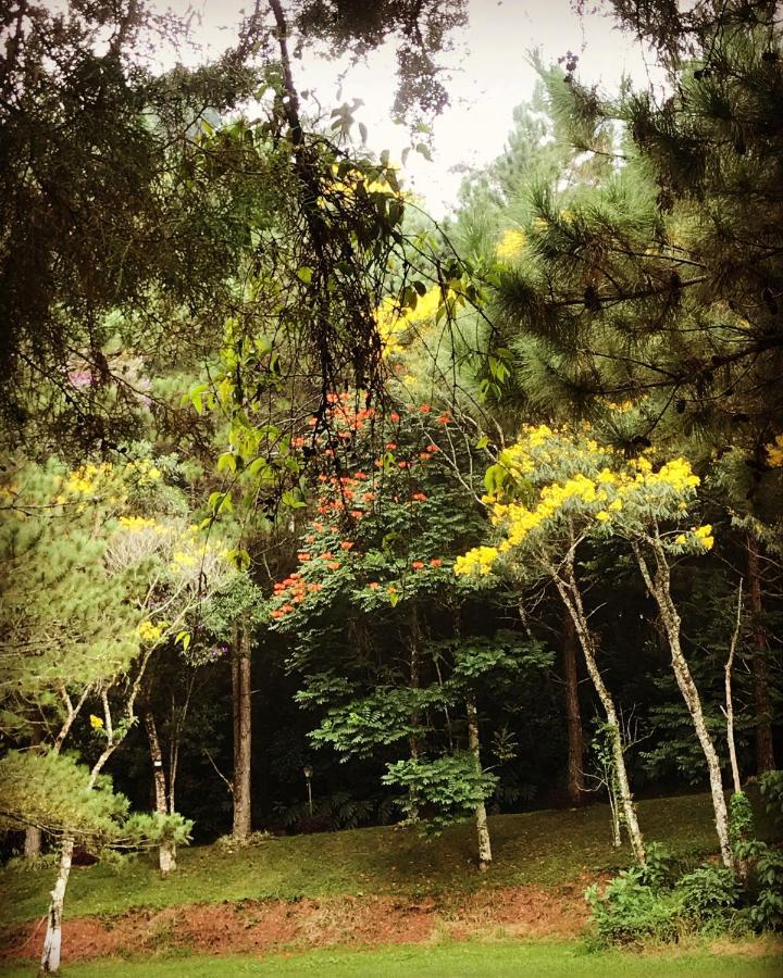 Pinheiros Do Rocio Ξενοδοχείο Πετρόπολις Εξωτερικό φωτογραφία